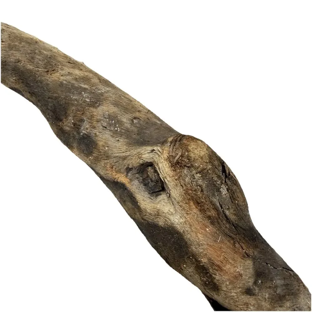Bent California Driftwood with Burnt Patina & Natural Bend – Sculptural Wood